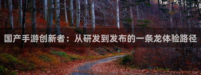 万赢娱乐传媒公司：国产手游创新者：从研发到发布的一条龙体验路