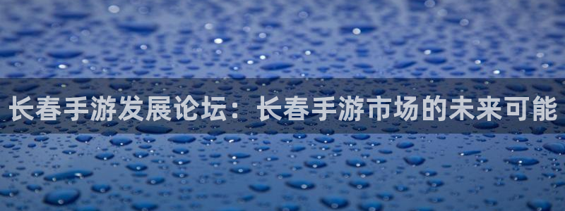 万赢娱乐场：长春手游发展论坛：长春手游市场的未来可能
