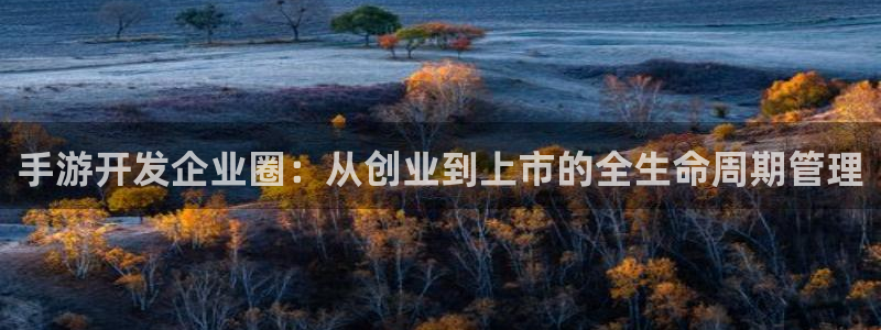 万赢娱乐棋牌：手游开发企业圈：从创业到上市的全生命周期管理