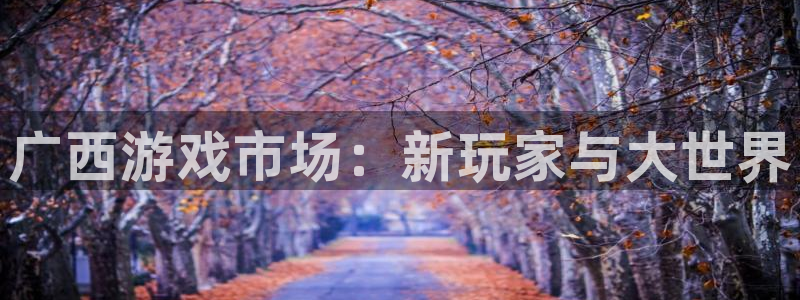 万赢娱乐网址多少：广西游戏市场：新玩家与大世界
