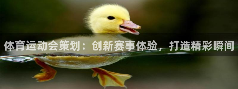678体育知识
