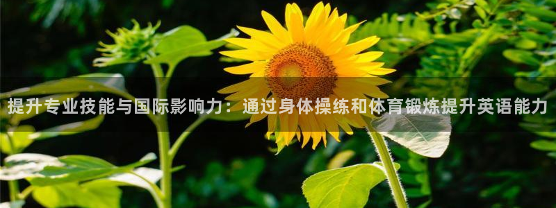 678体育知识