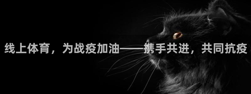 678体育官网下载