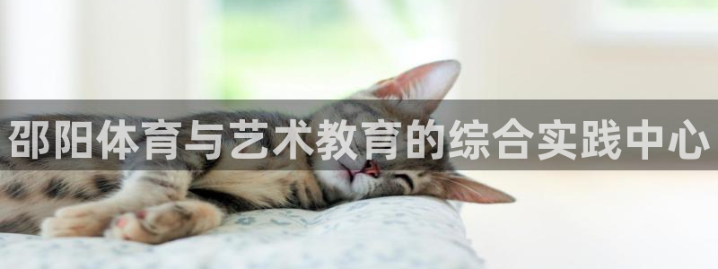 678体育知识