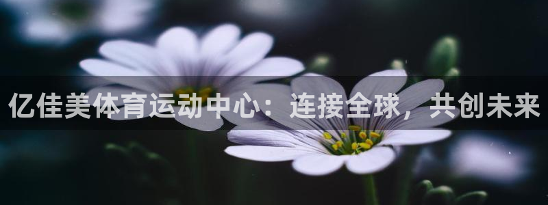 678体育官网地址