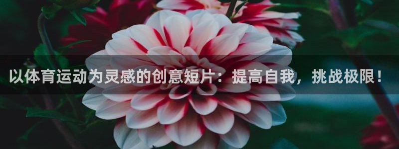 678体育知识