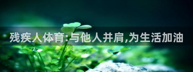 678体育app