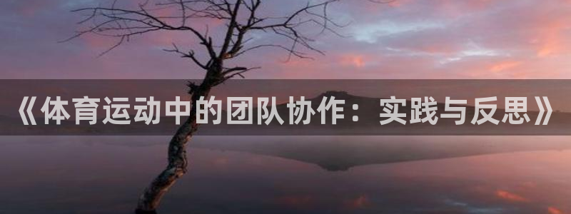 678体育app