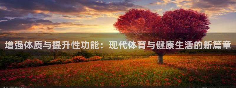 678体育官网